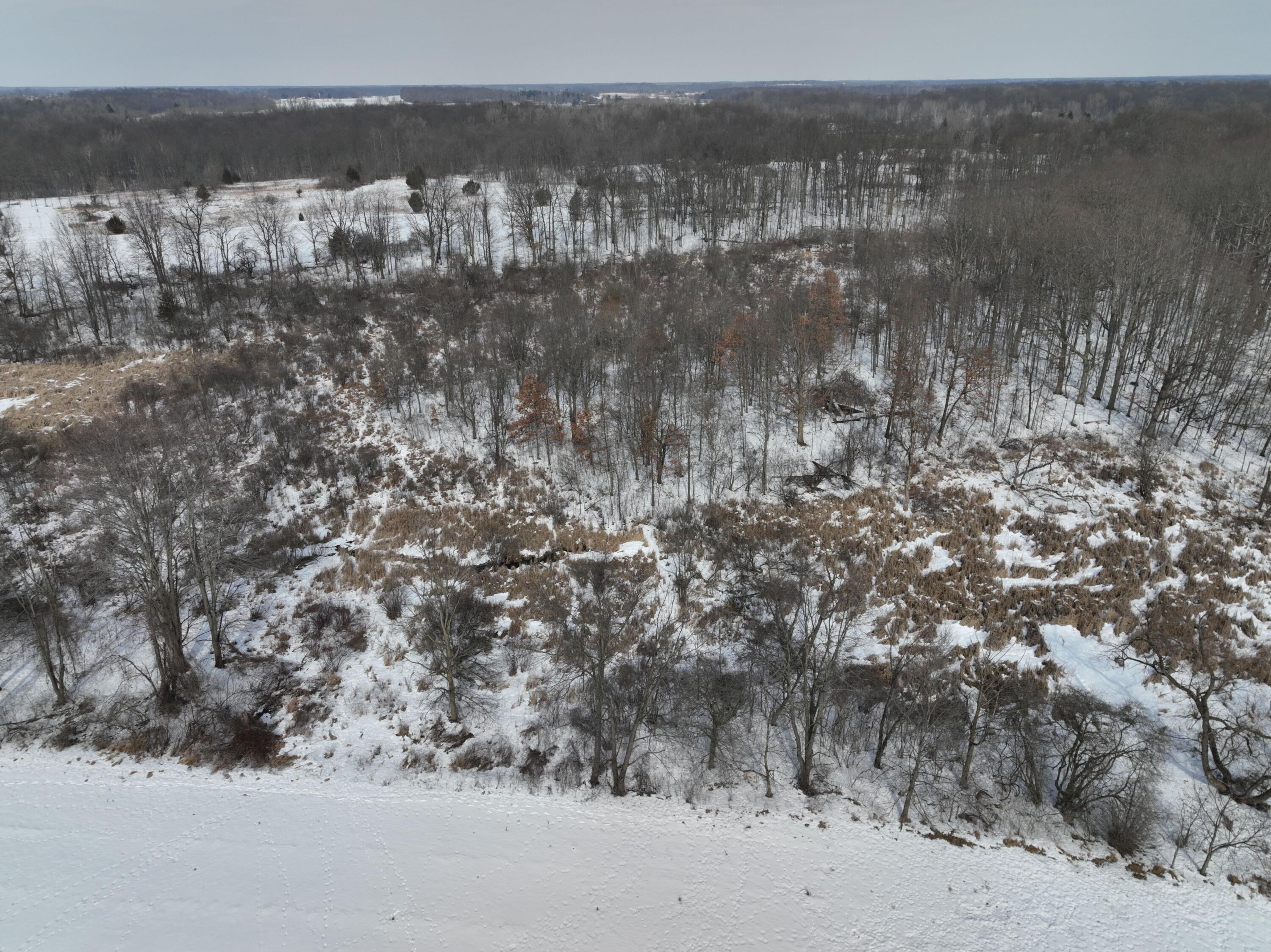 V/l West Allen Road Fowlerville, MI 48836 - Photo 53 of 56 42j