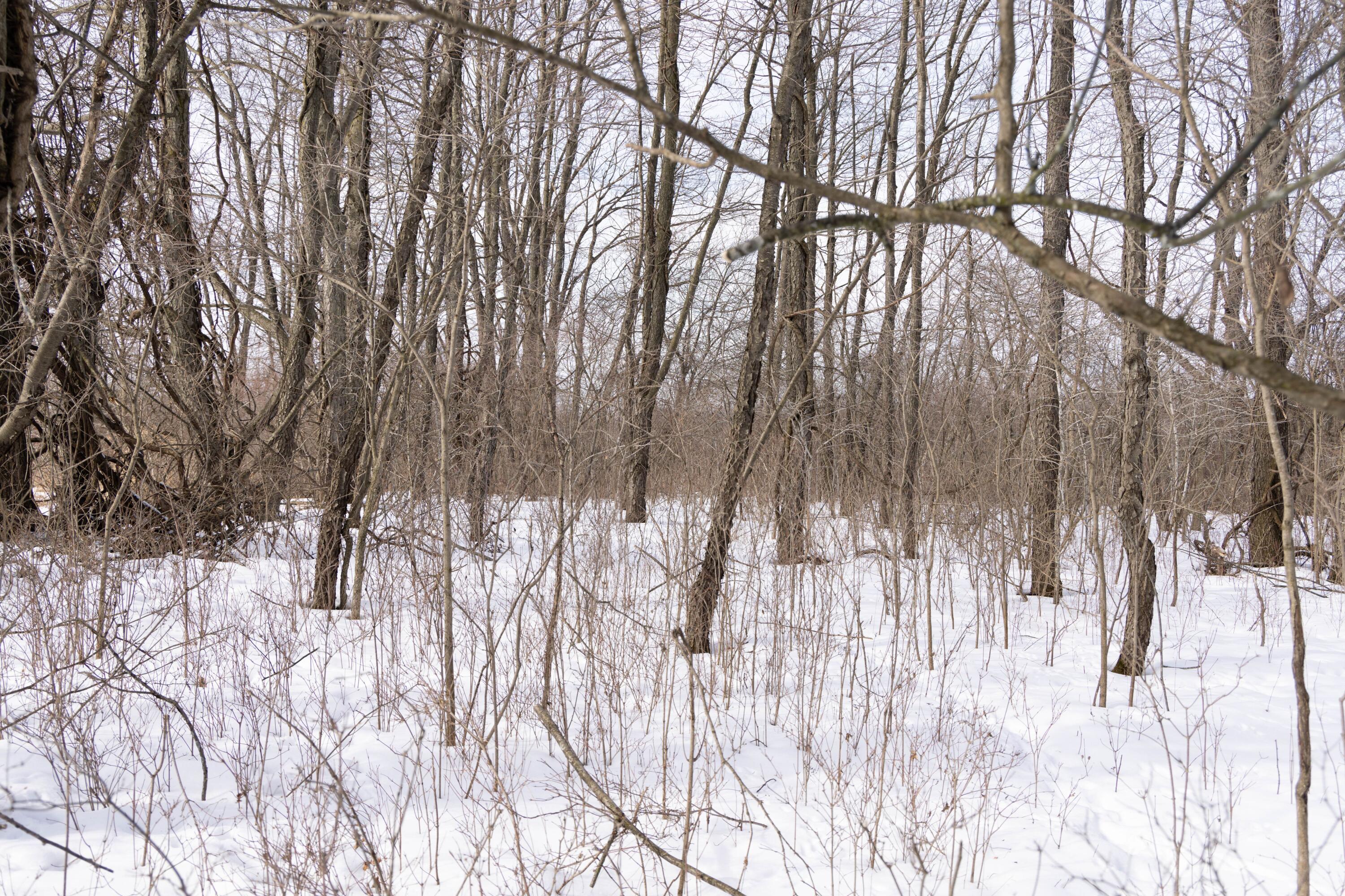 V/l West Allen Road Fowlerville, MI 48836 - Photo 6 of 56 4