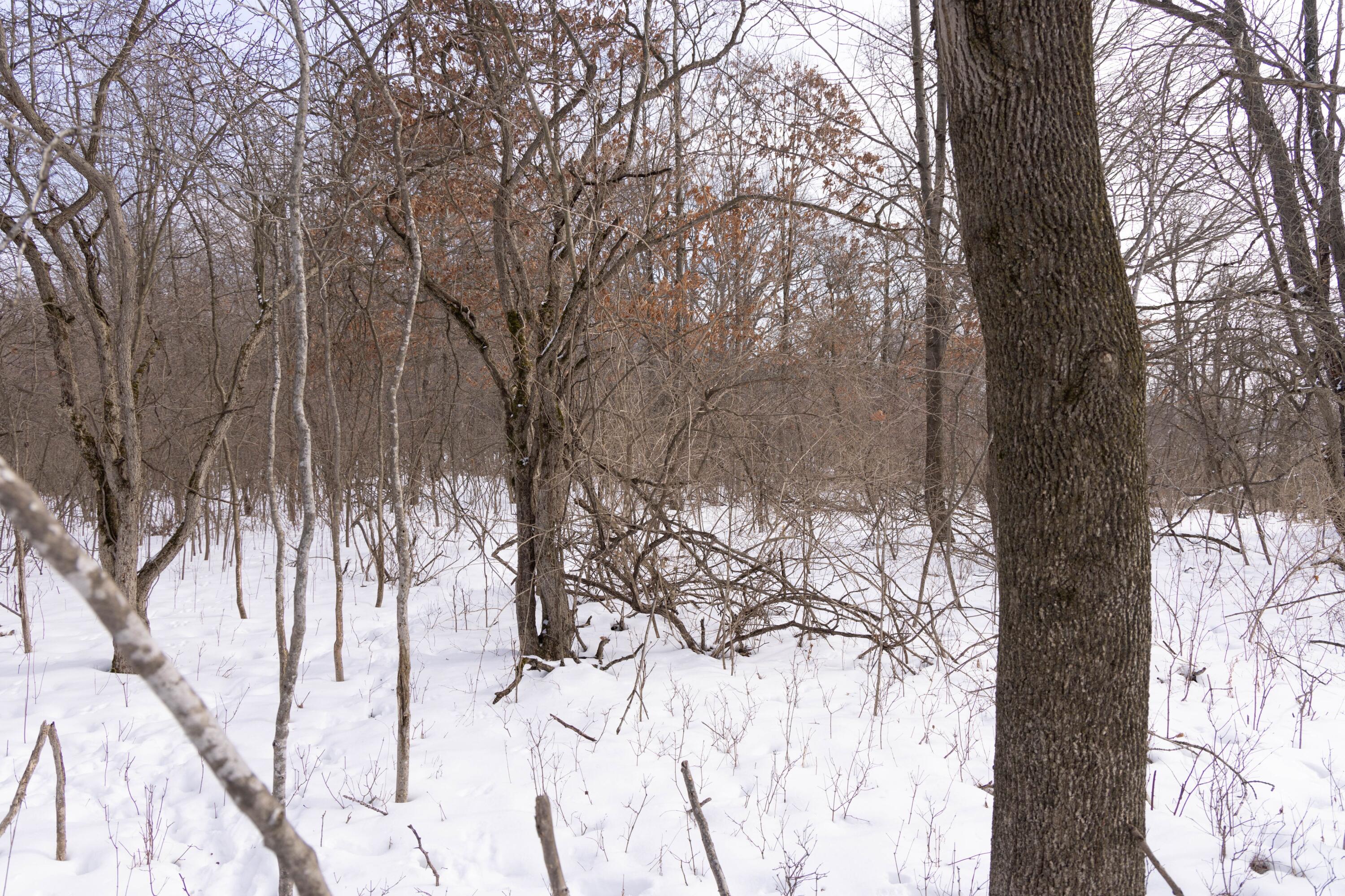 V/l West Allen Road Fowlerville, MI 48836 - Photo 10 of 56 8