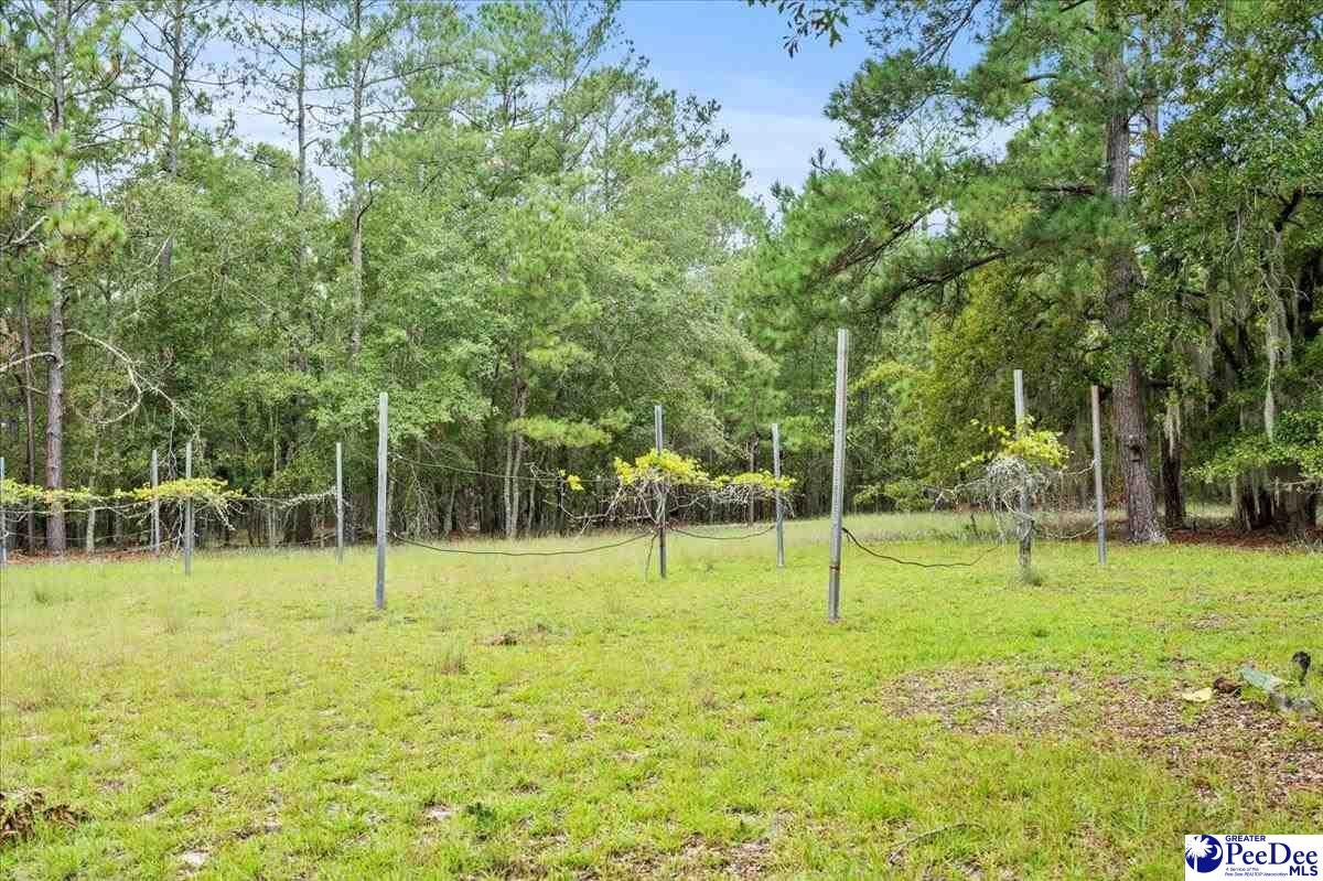 287 Bubba Road Marion, SC 29571 - Photo 40 of 54 Gallery Image 40