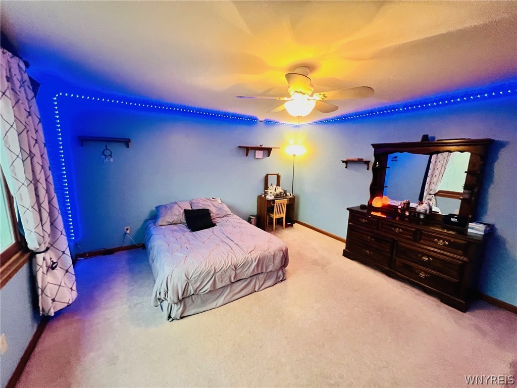 7370 Delamater Road Evans, NY 14047 - Photo 23 of 39