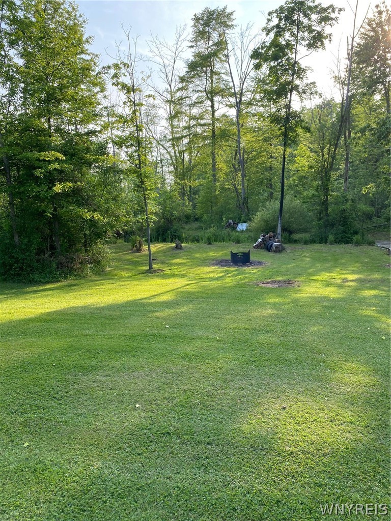 7370 Delamater Road Evans, NY 14047 - Photo 36 of 39