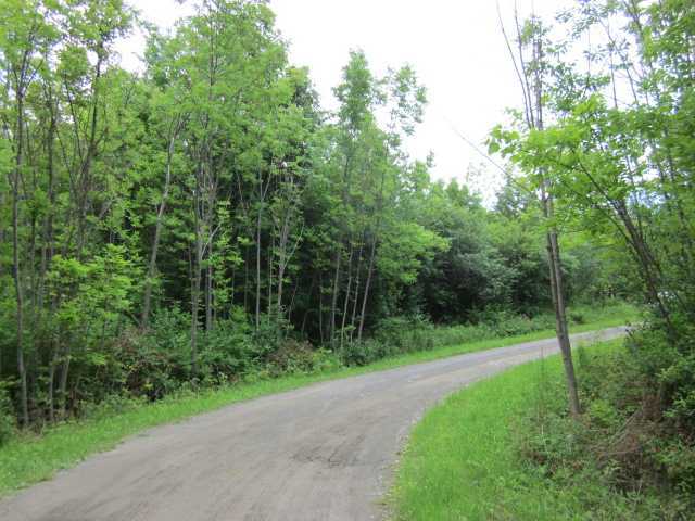 0 Puckertoot Branchport, NY 14418 - Photo 1 of 1 Land
