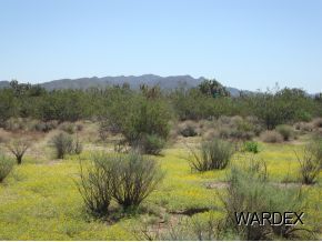 2381 Wagon Trail Road Yucca, AZ 86438 - Photo 1 of 17 Primary Photo