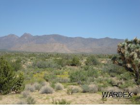 2381 Wagon Trail Road Yucca, AZ 86438 - Photo 5 of 17 Additional Photo