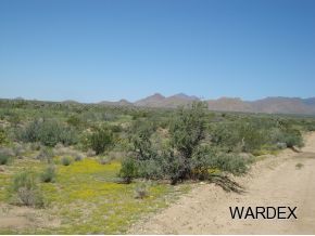 2381 Wagon Trail Road Yucca, AZ 86438 - Photo 6 of 17 Additional Photo