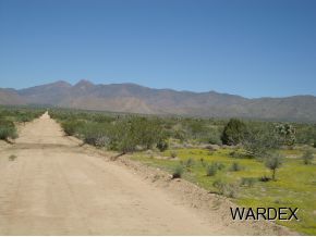 2381 Wagon Trail Road Yucca, AZ 86438 - Photo 7 of 17 Additional Photo