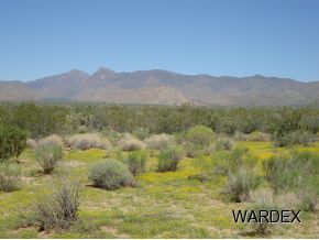 2381 Wagon Trail Road Yucca, AZ 86438 - Photo 8 of 17 Additional Photo