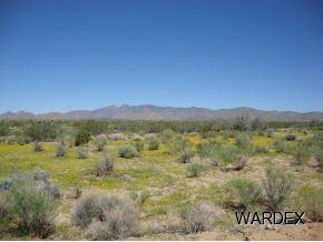 2381 Wagon Trail Road Yucca, AZ 86438 - Photo 9 of 17 Additional Photo