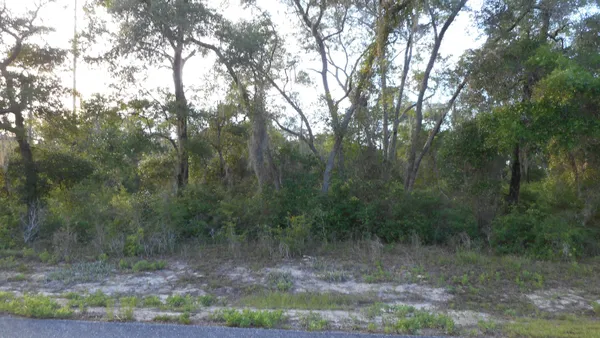 $53,000 | Lot 26 Pelican Way, Ochlockonee Bay, FL 32346