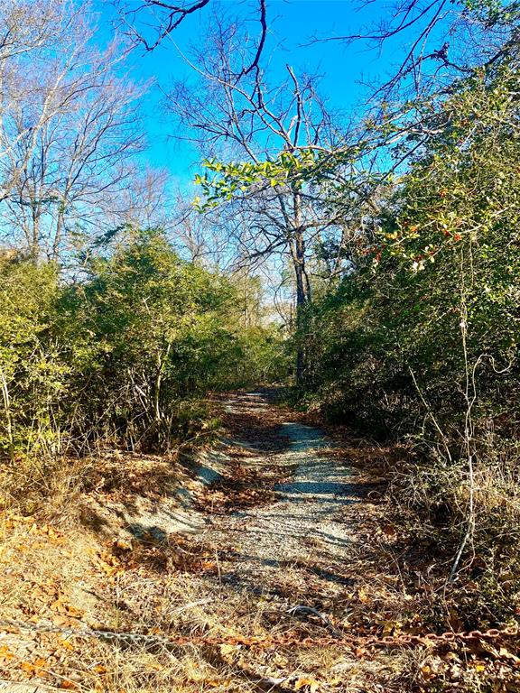 0 LCR 799 Groesbeck, TX 76642 - Photo 13 of 24 a view of a lake with a tree