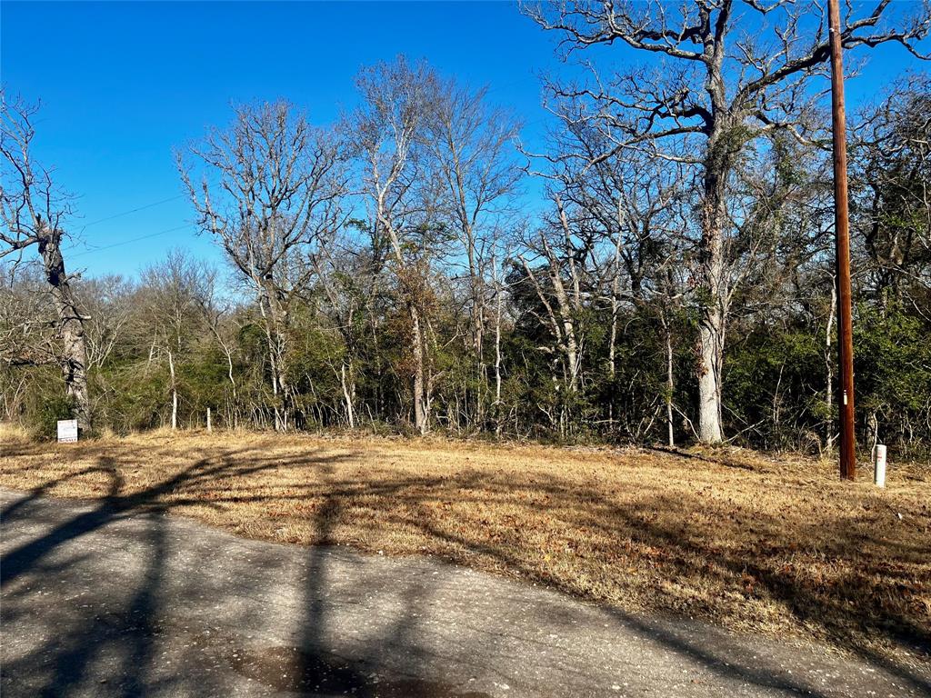 0 LCR 799 Groesbeck, TX 76642 - Photo 16 of 24 a view of road with trees