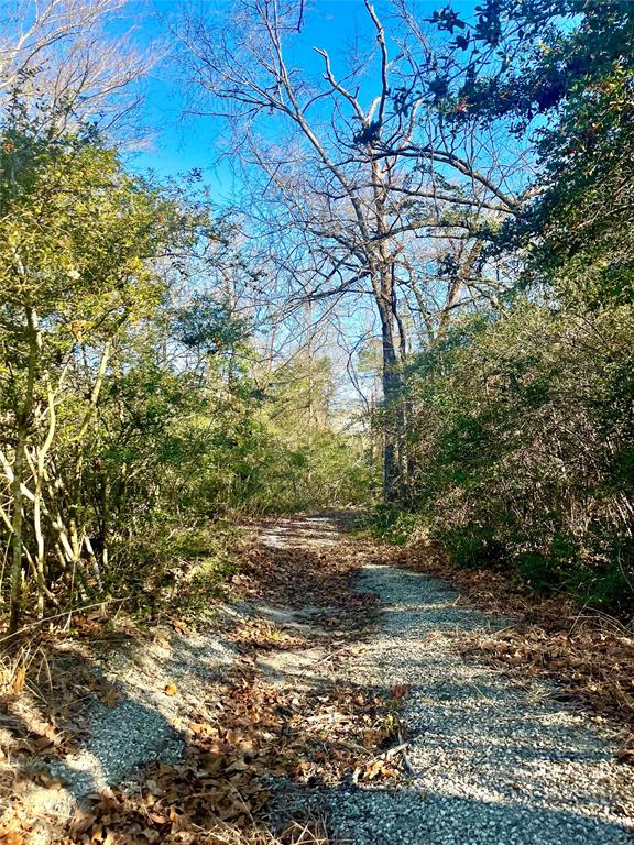 0 LCR 799 Groesbeck, TX 76642 - Photo 19 of 24 a backyard of a house with lots of green space
