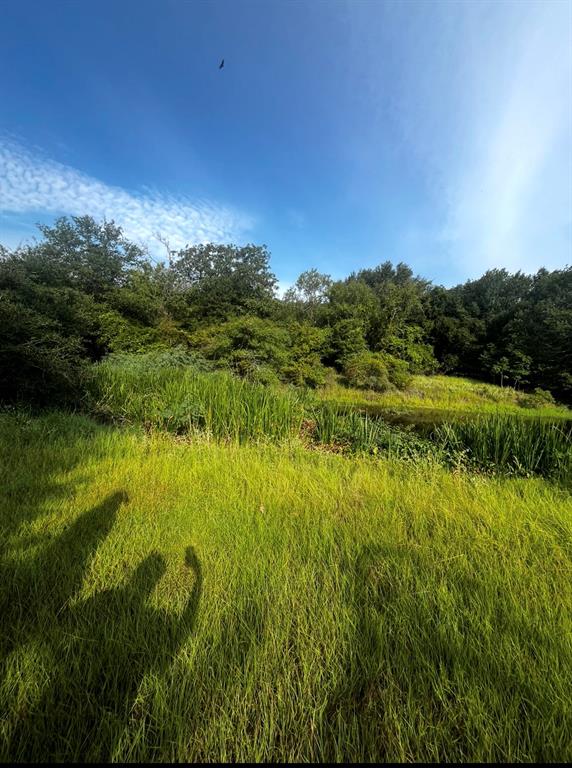 0 LCR 799 Groesbeck, TX 76642 - Photo 5 of 24 a view of a lake and green valley
