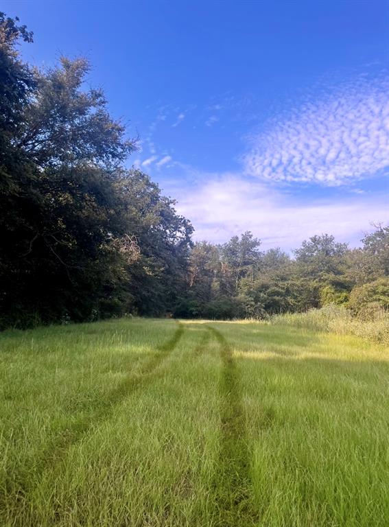 0 LCR 799 Groesbeck, TX 76642 - Photo 7 of 24 a view of an outdoor space and yard