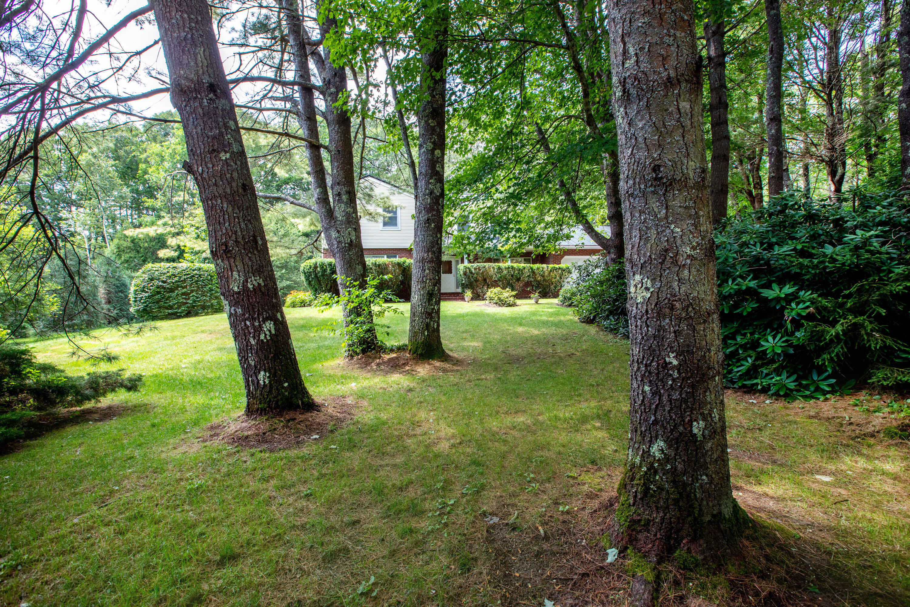 9 Oakridge Road Brunswick, ME 04011 - Photo 62 of 64 Oak Ridge_Moyer_62