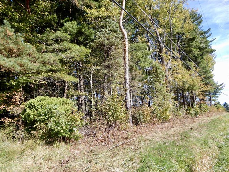 1758 Lake Road Mercer, PA 16137 - Photo 3 of 7
