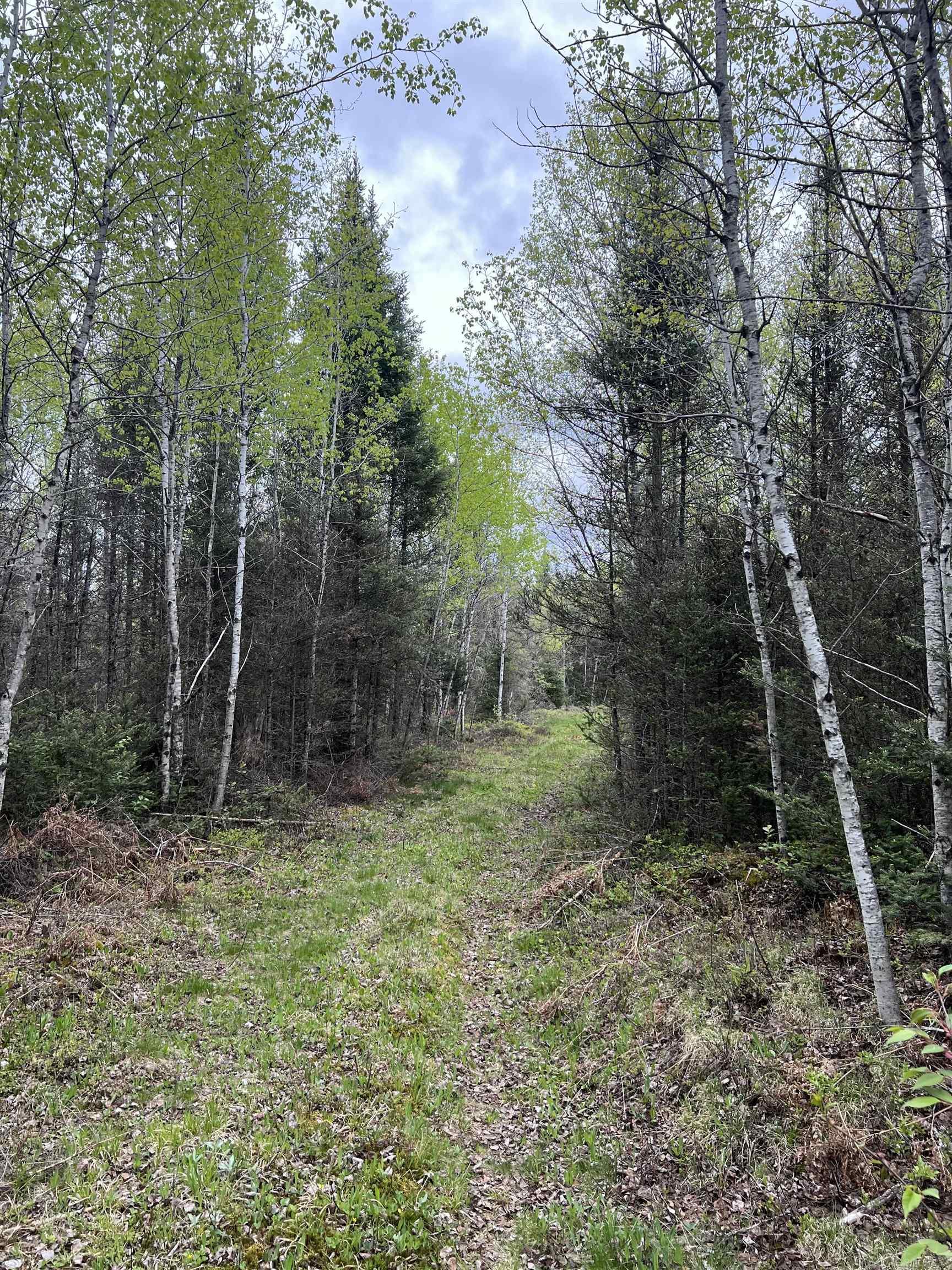 0 County Road Ishpeming, MI 49849 - Photo 17 of 85