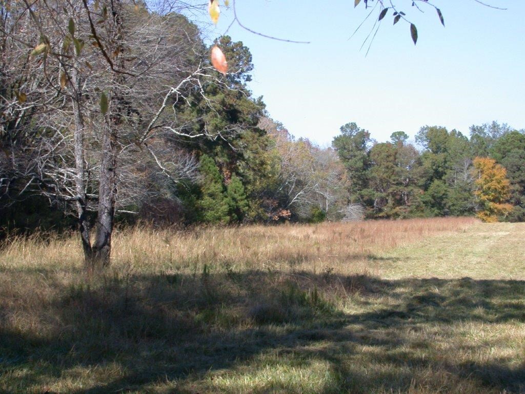 - Larkin Rice Road Saluda, SC 29138 - Photo 36 of 70