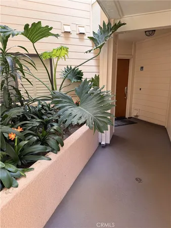 a view of a house with a park