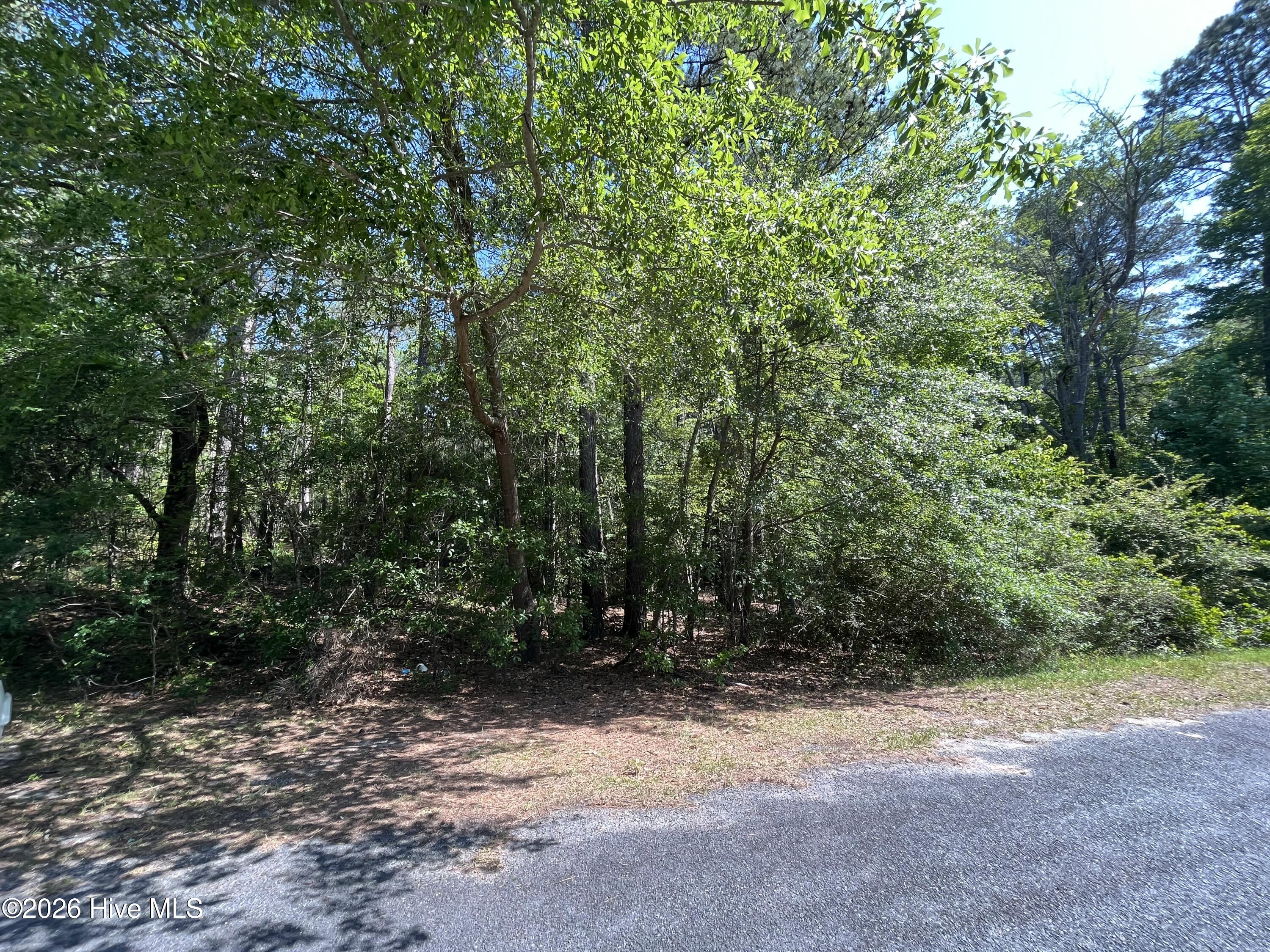 304 Eastman Road Southern Pines, NC 28387 - Photo 1 of 5 Road Front