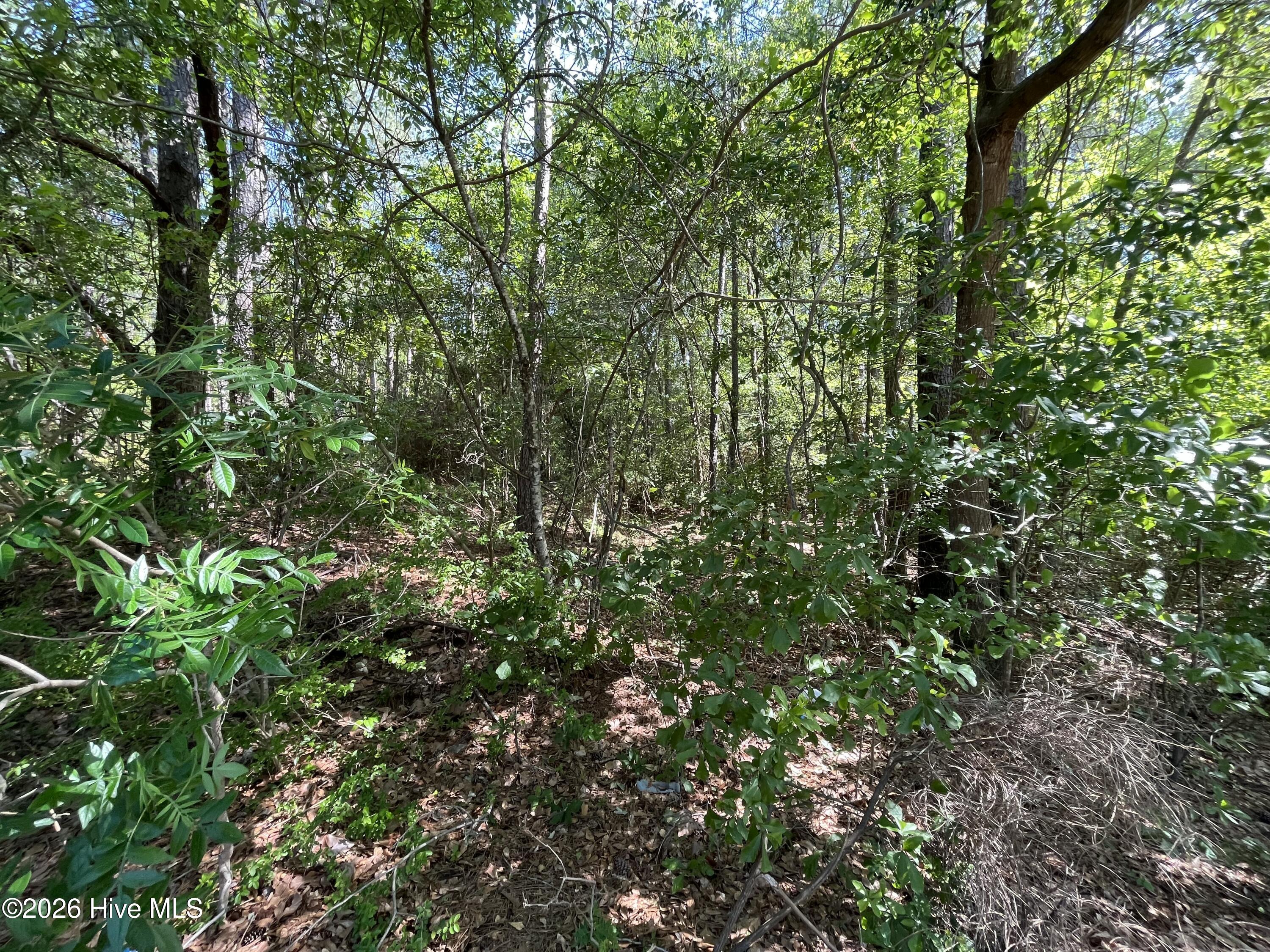 304 Eastman Road Southern Pines, NC 28387 - Photo 2 of 5 Eastman Rd- 1