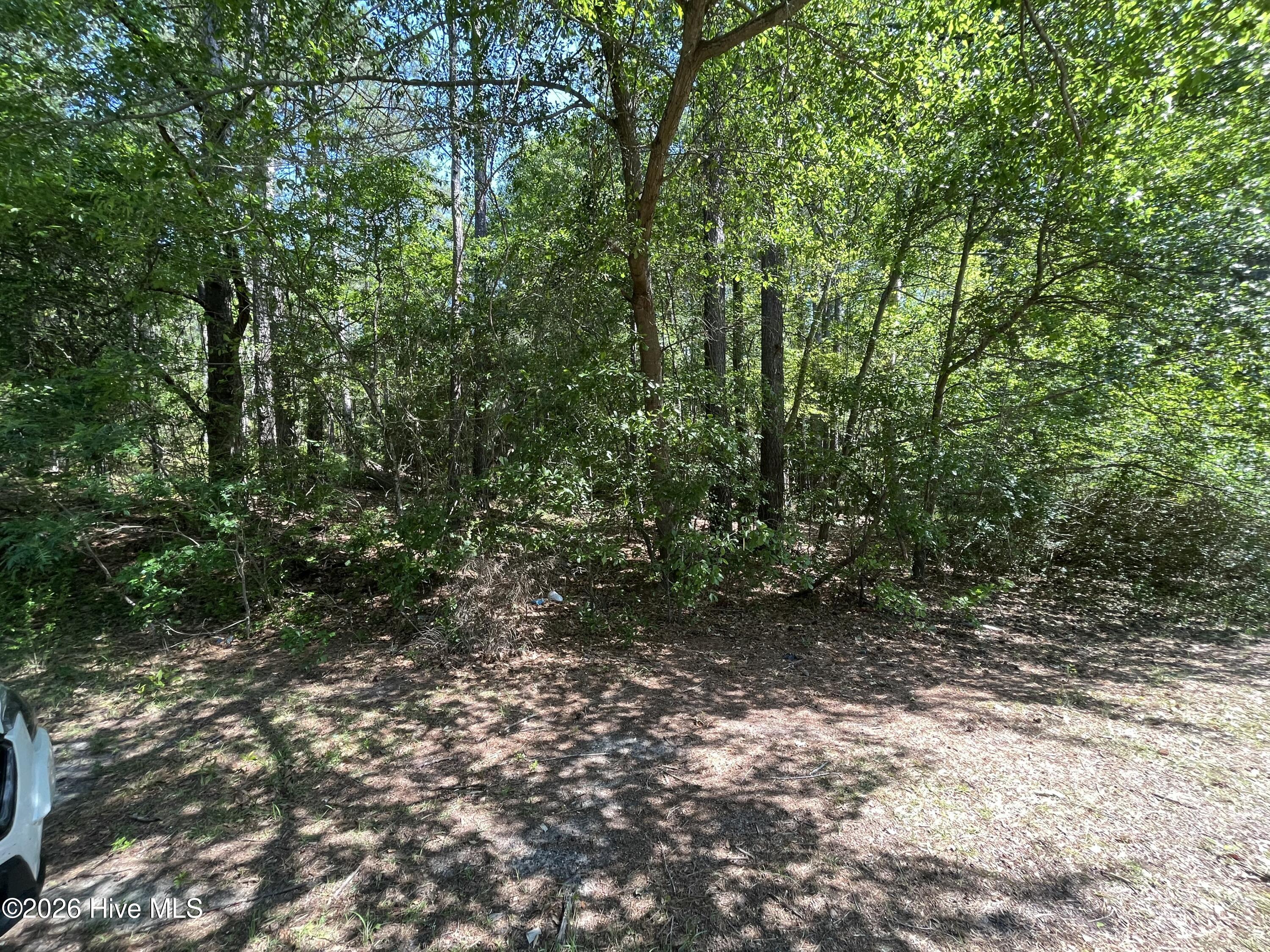 304 Eastman Road Southern Pines, NC 28387 - Photo 3 of 5 Eastman Rd- 3