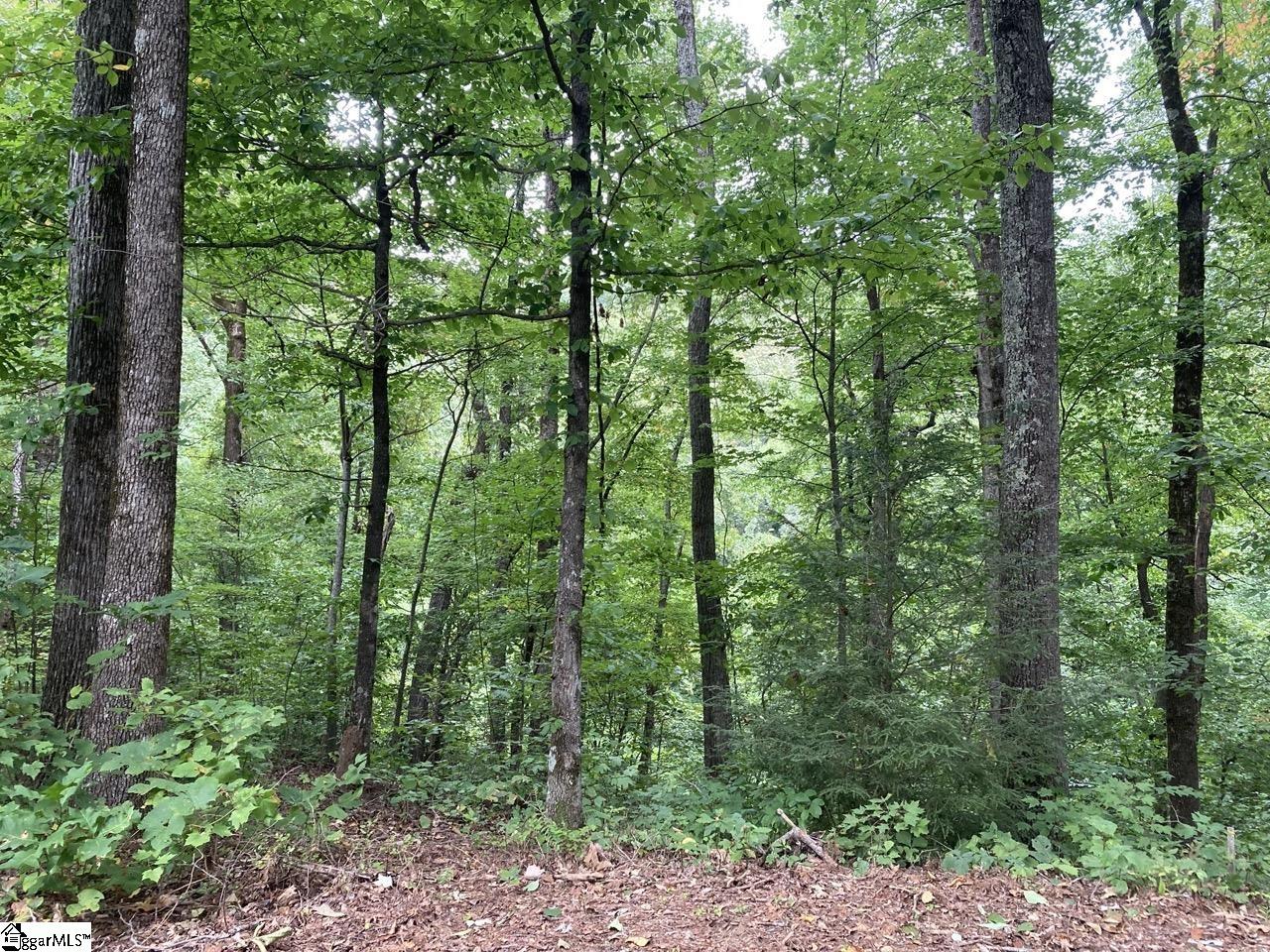 Goldenrod Way, Unit 150 Landrum, SC 29356 - Photo 2 of 4 Gallery Image 2