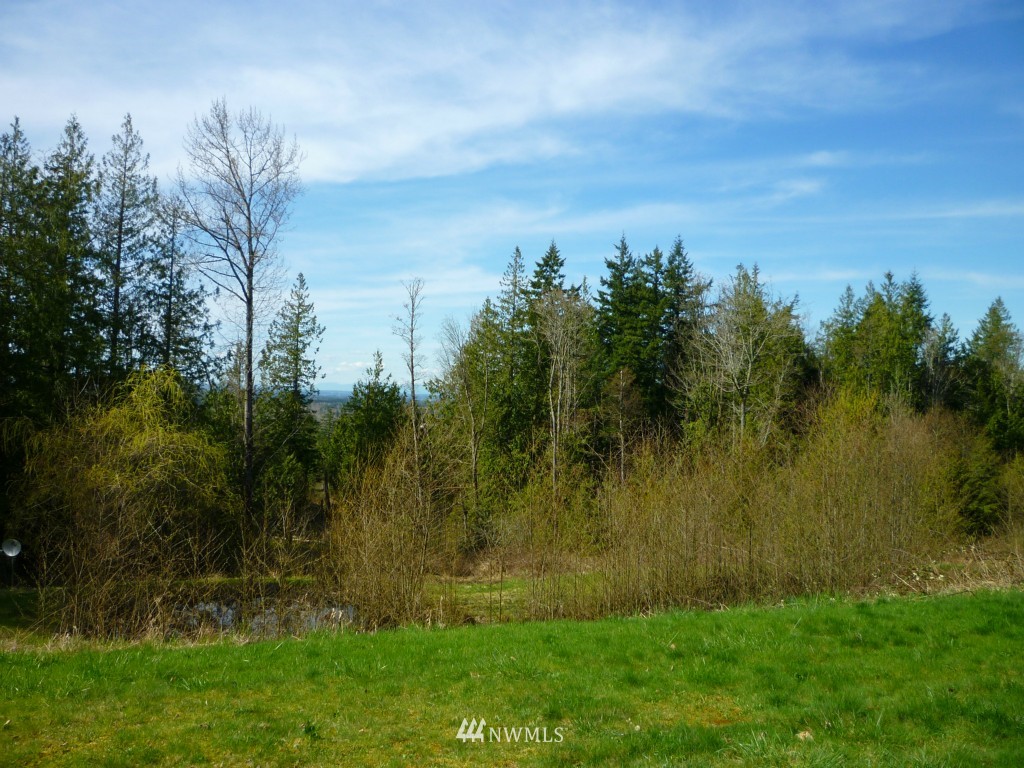 3132 Kelly Road Bellingham, WA 98226 - Photo 24 of 25