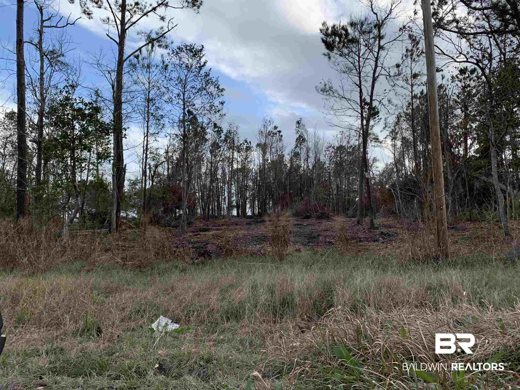 10501 County Road 1 Fairhope, AL 36532 - Photo 13 of 33