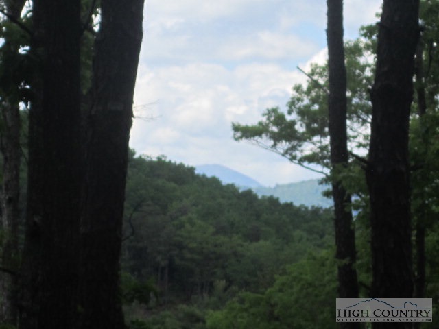 Marigold Boone, NC 28607 - Photo 2 of 5