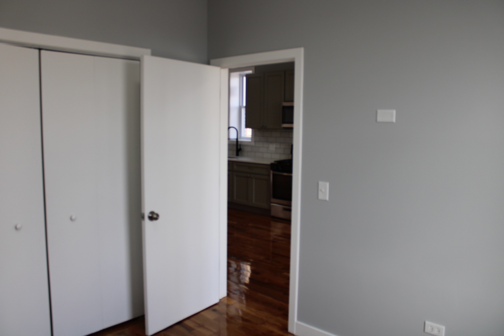 1533 South Ridgeway Avenue, Unit 1R Chicago, IL 60623 - Photo 4 of 7 a view of a walk in closet