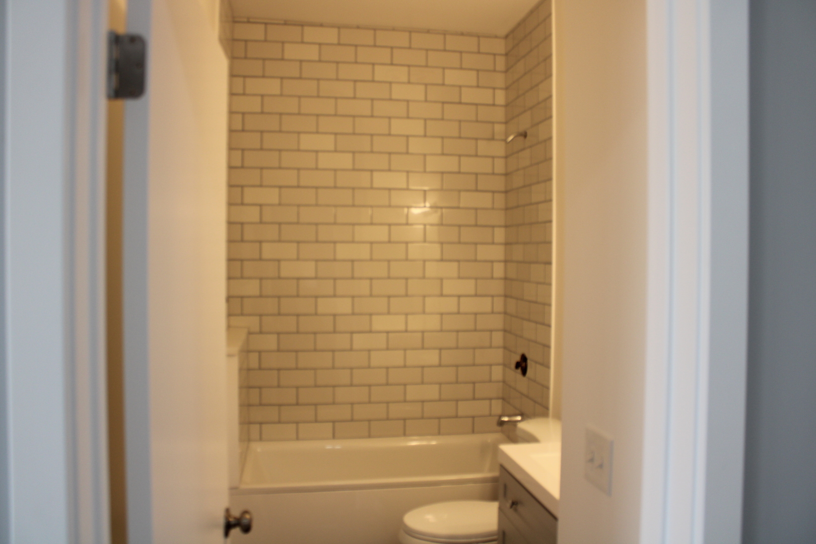 1533 South Ridgeway Avenue, Unit 1R Chicago, IL 60623 - Photo 6 of 7 a bathroom with a bathtub and a shower
