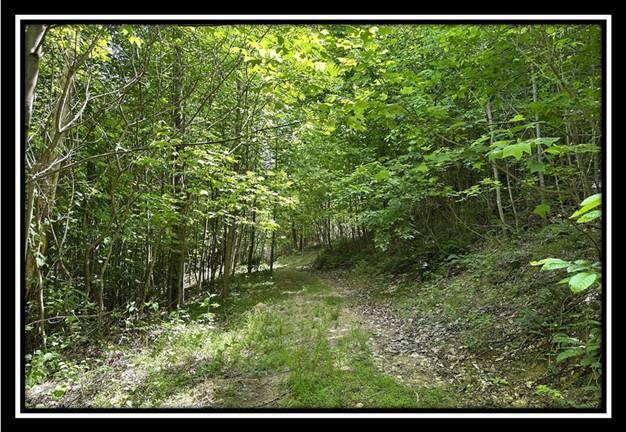 59 Weaver Road, Unit TRACT C) Chillicothe, OH 45601 - Photo 10 of 36 image010