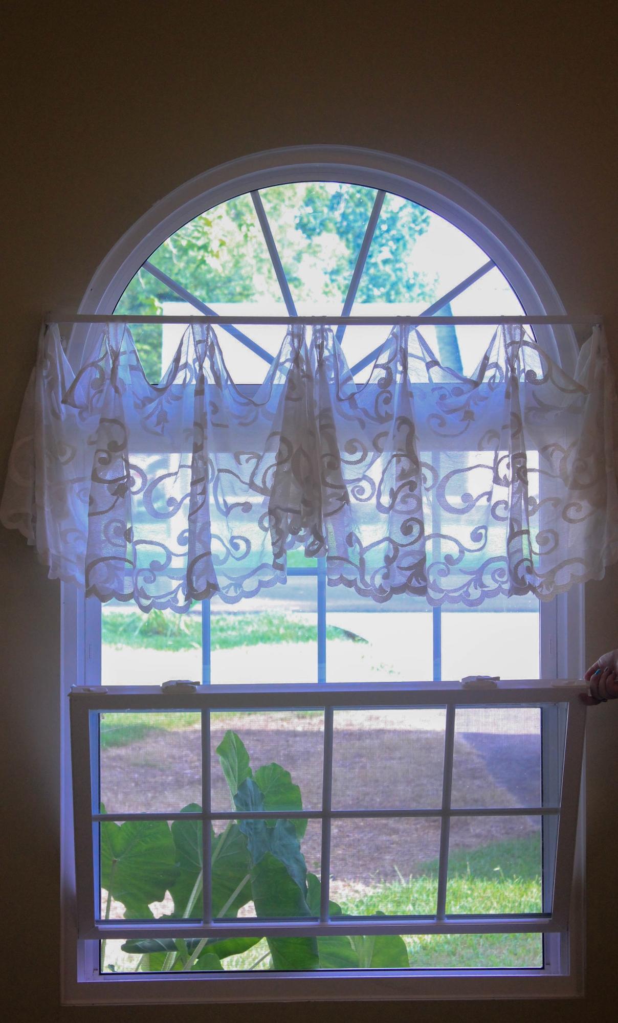 301 Hamilton Road Knoxville, TN 37920 - Photo 19 of 25 5 - Main Entry Window