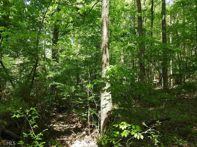 a backyard of a house with lots of swings