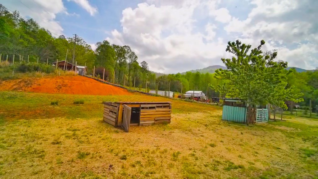 3325 Pack Mountain Road Murphy, NC 28906 - Photo 53 of 69