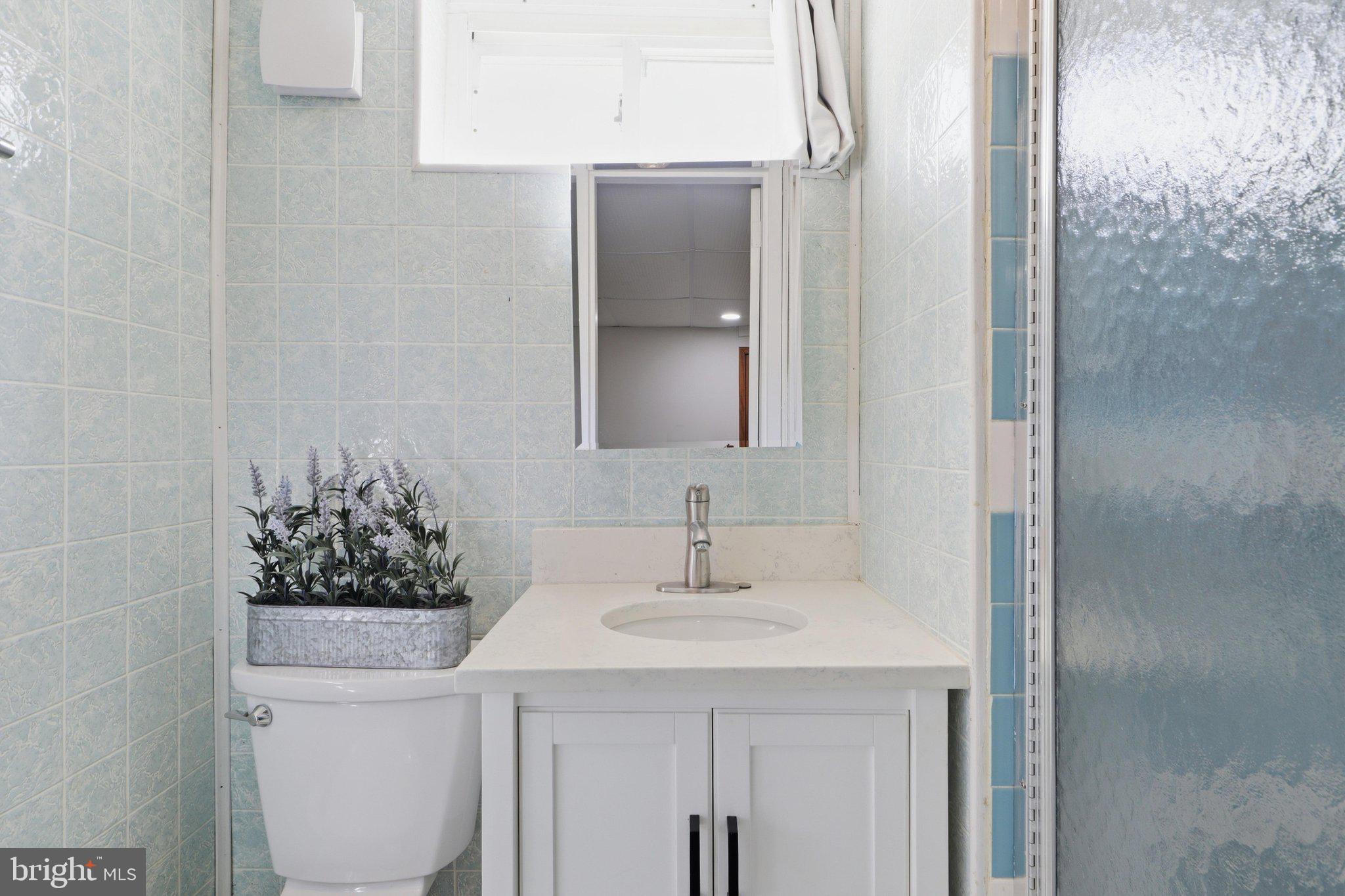 908 Gabel Street Silver Spring, MD 20901 - Photo 23 of 39 Lower Level Full Bath with Shower