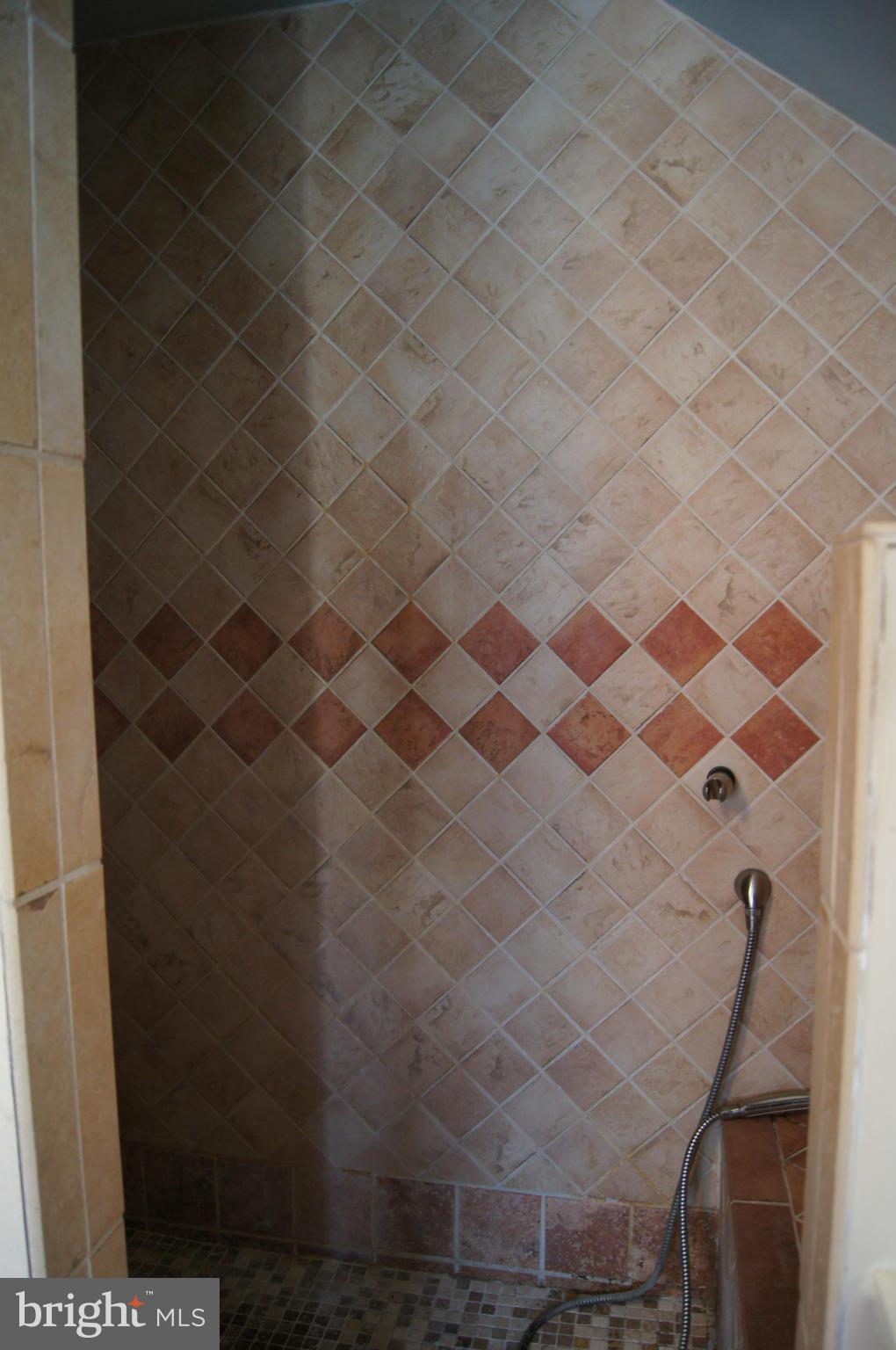 6607 Parkway Road Baltimore, MD 21239 - Photo 20 of 30 Walk in shower