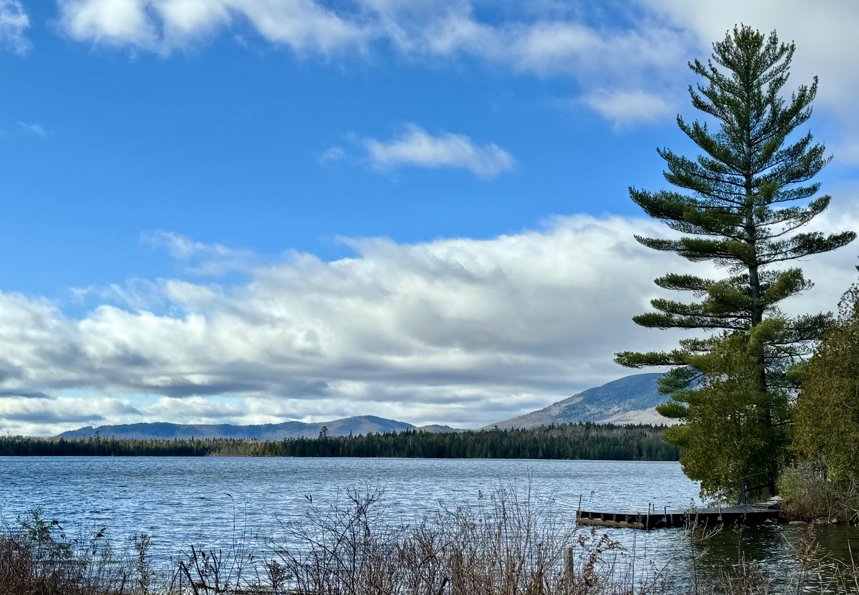 993 Loon Lake Road Dallas Plt, ME 04970 - Photo 1 of 42 IMG_7262