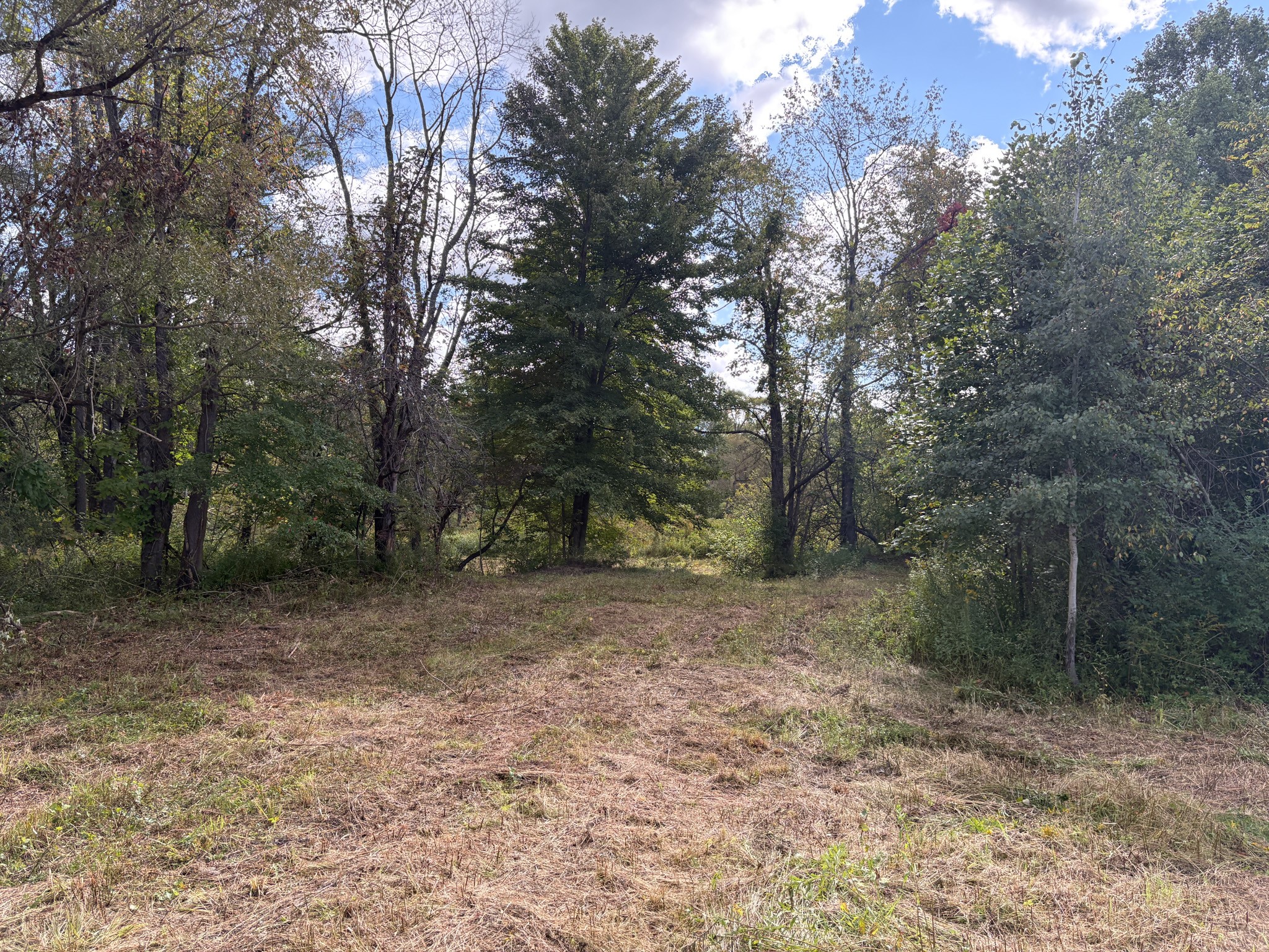 Scribner Road Pierpont, OH 44082 - Photo 2 of 20 Gallery Image 2