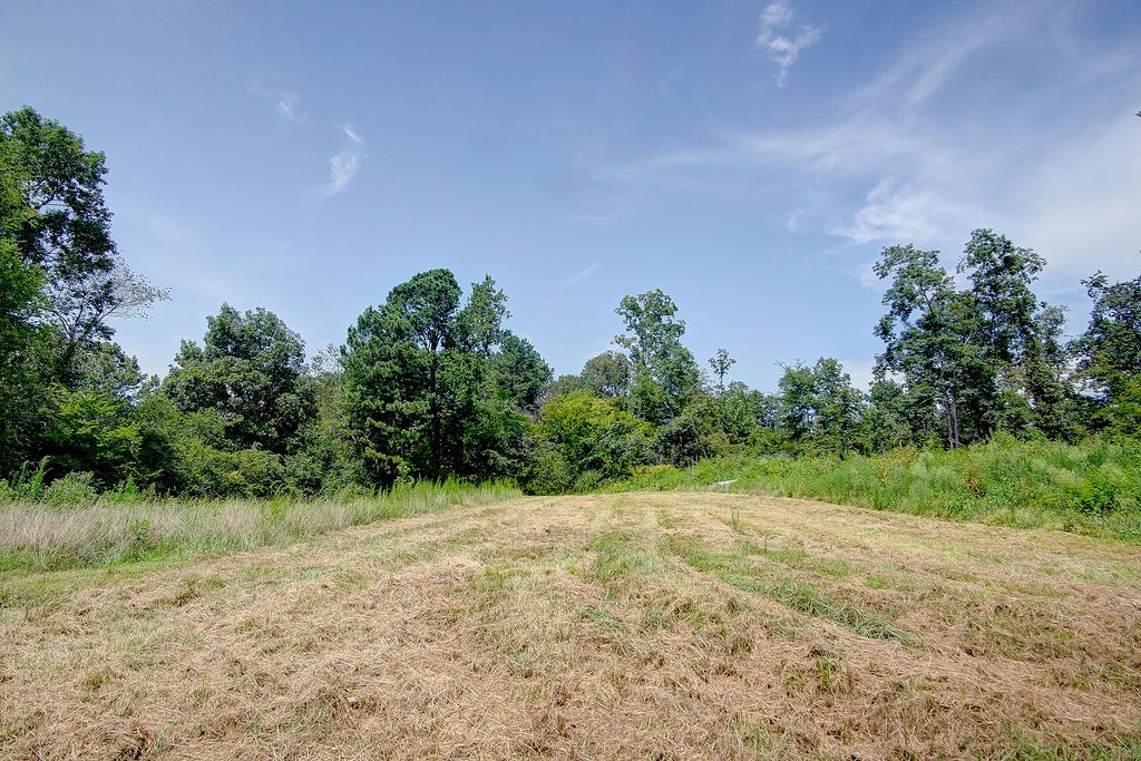 889 Fullers Chapel Road Chatsworth, GA 30705 - Photo 40 of 50 Gallery Image 40