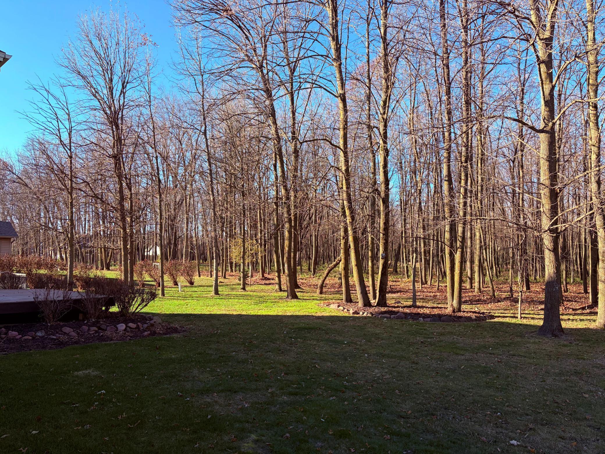 610 Linden Avenue Rice Lake, WI 54868 - Photo 5 of 30