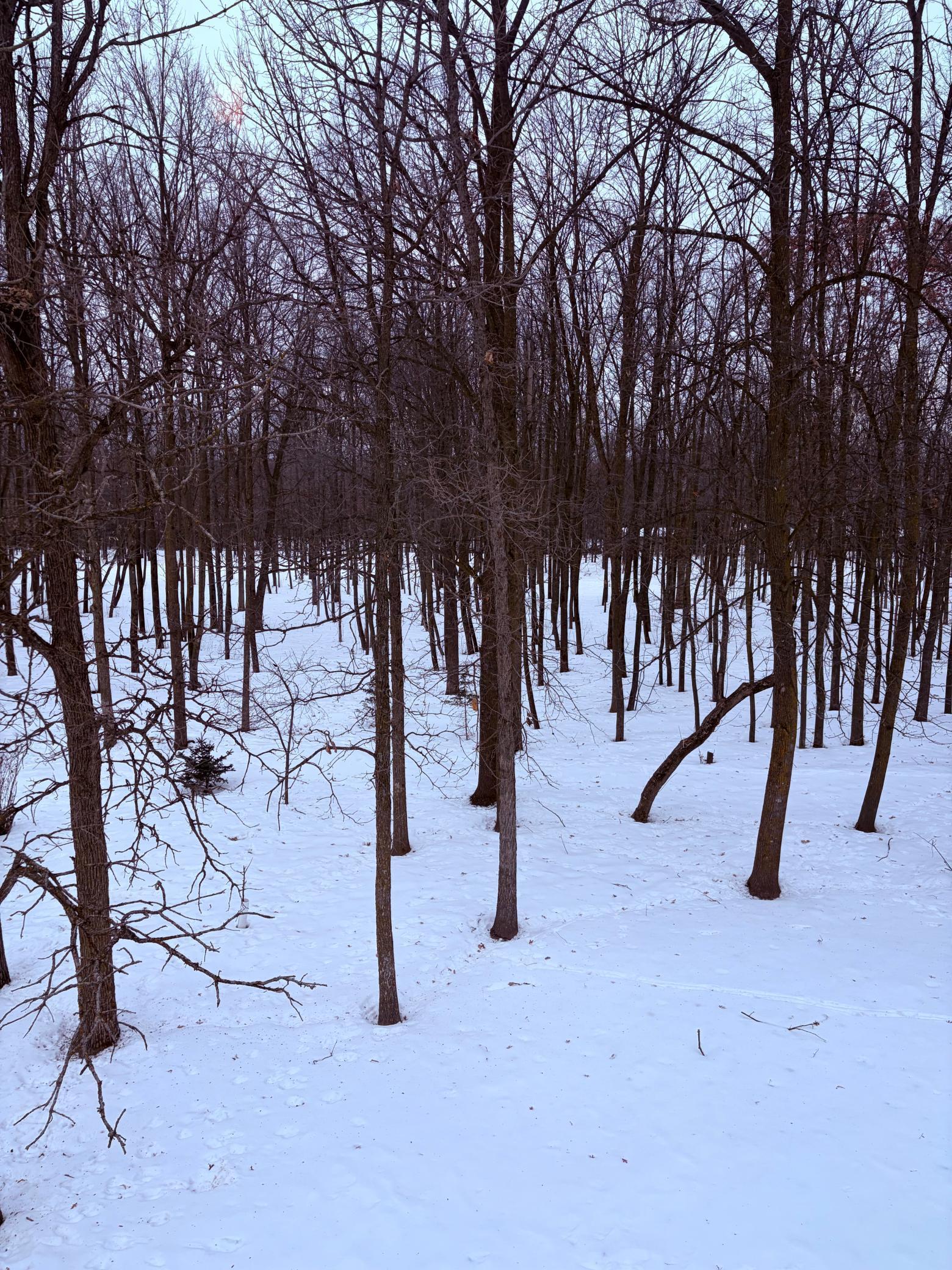 610 Linden Avenue Rice Lake, WI 54868 - Photo 6 of 30