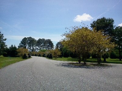Bayside Bayside Road, Unit 1 2 Greenbush, VA 23357 - Photo 3 of 4