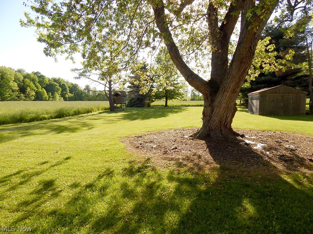 6686 State Road Wadsworth, OH 44281 - Photo 18 of 19