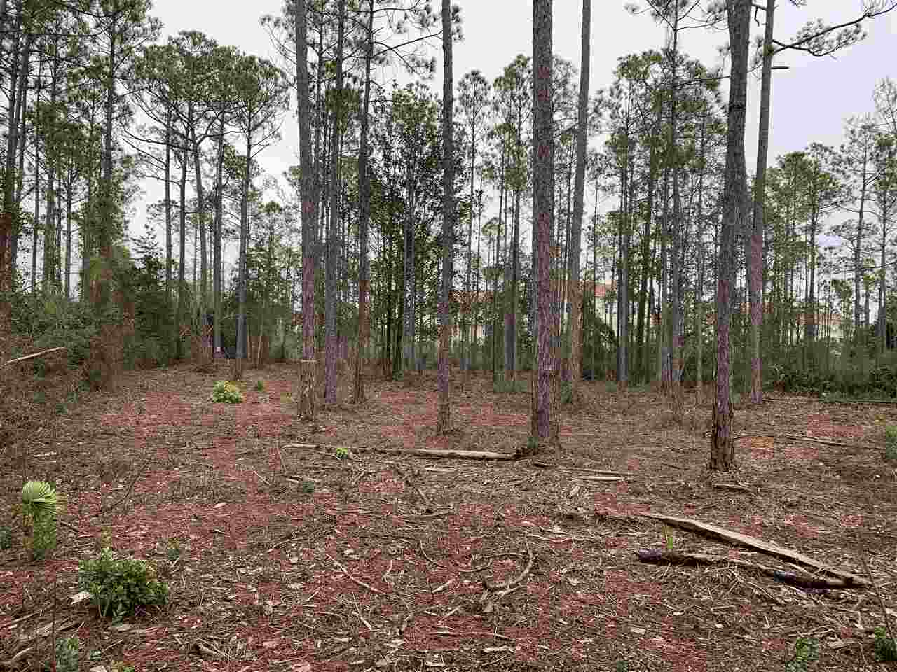 West Hewett Road Santa Rosa Beach, FL 32459 - Photo 1 of 4 Gallery Image 1