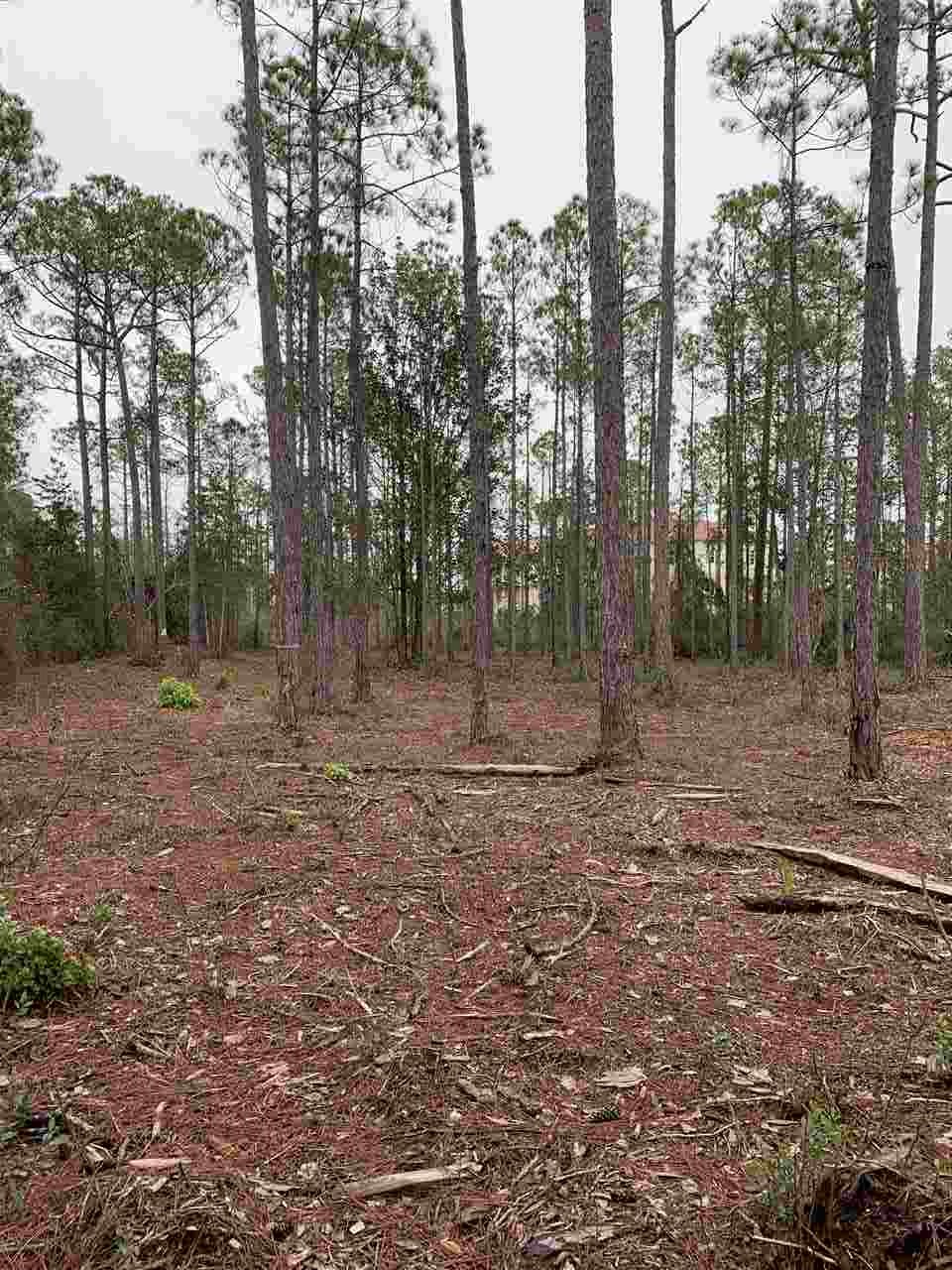 West Hewett Road Santa Rosa Beach, FL 32459 - Photo 2 of 4 Gallery Image 2