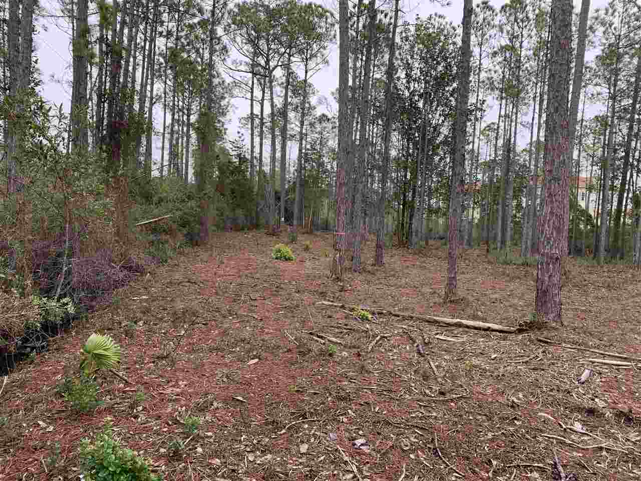 West Hewett Road Santa Rosa Beach, FL 32459 - Photo 3 of 4 Gallery Image 3