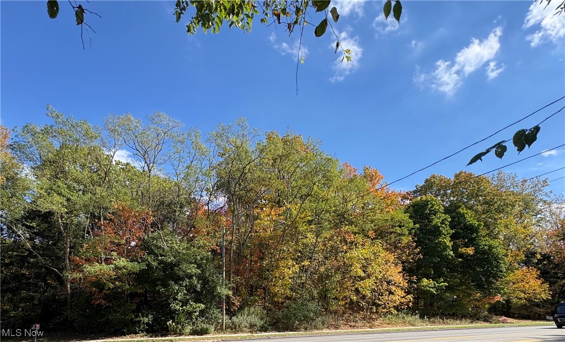 Som Center Road Willoughby, OH 44094 - Photo 1 of 2 View of asphalt road with a forest view
